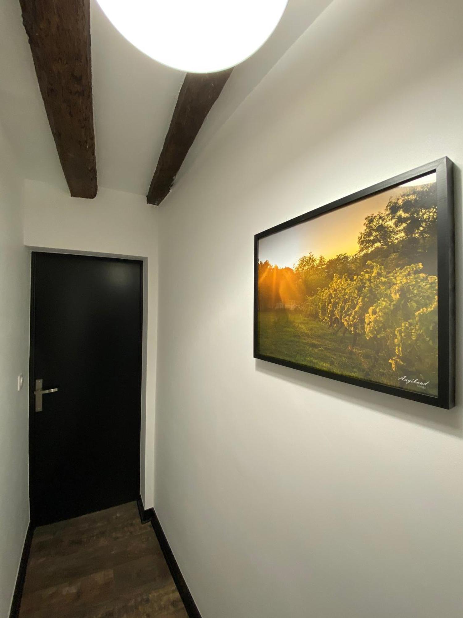 La Propriete De Bacchus Apartment Saumur Bilik gambar